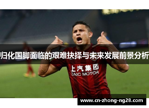 归化国脚面临的艰难抉择与未来发展前景分析