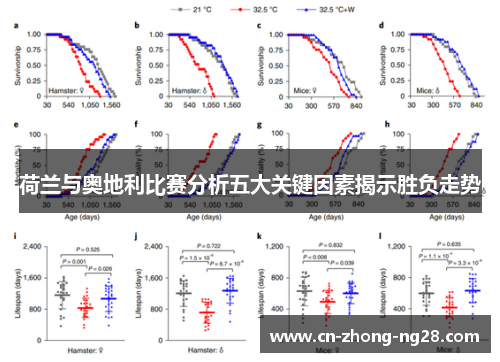 荷兰与奥地利比赛分析五大关键因素揭示胜负走势 荷兰与奥地利比赛分析五大关键因素揭示胜负走势